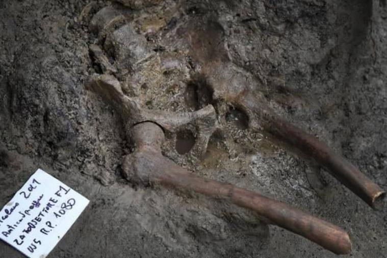 В Италии нашли останки жертвы извержения Везувия, погибшей при бегстве к морю